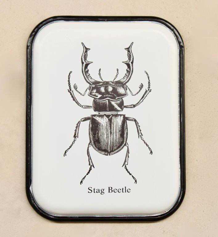 Stag Beetle Enamel Plaque